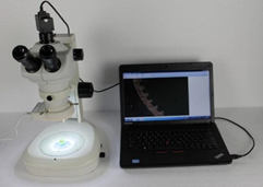 Sistema di analisi di immagini metallografiche CCD digitale 5MP H3000